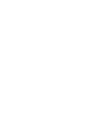Custom