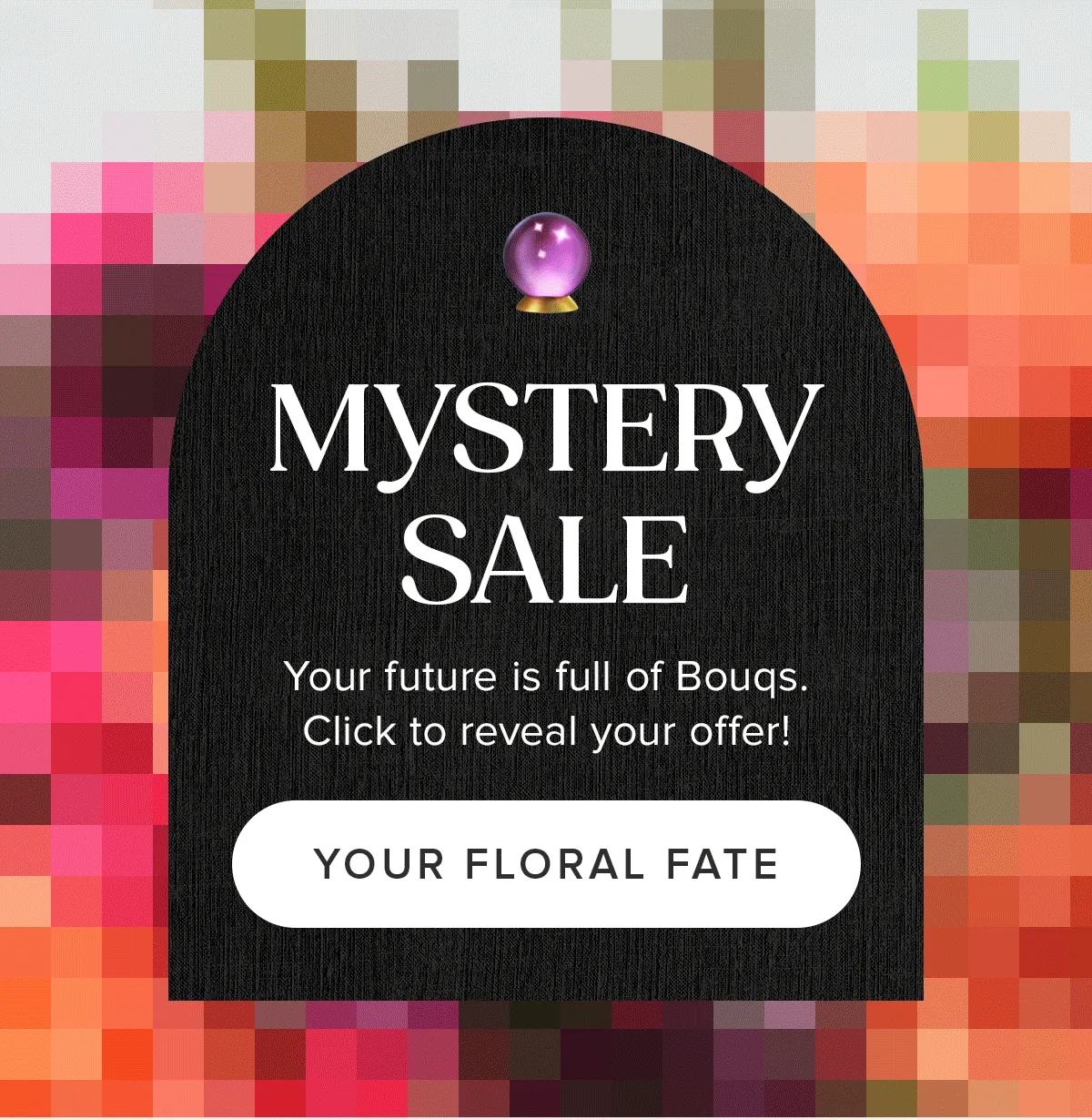 MYSTERY SALE: Your future is full of Bouqs. Click to reveal your offer! YOUR FLORAL FATE