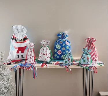 Kringle Express 50-Piece Gift Bags & Tags Set