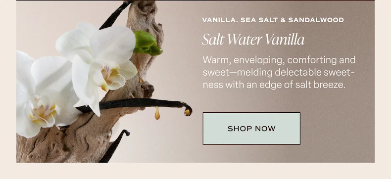 Salt Water Vanilla Body Rituals Set