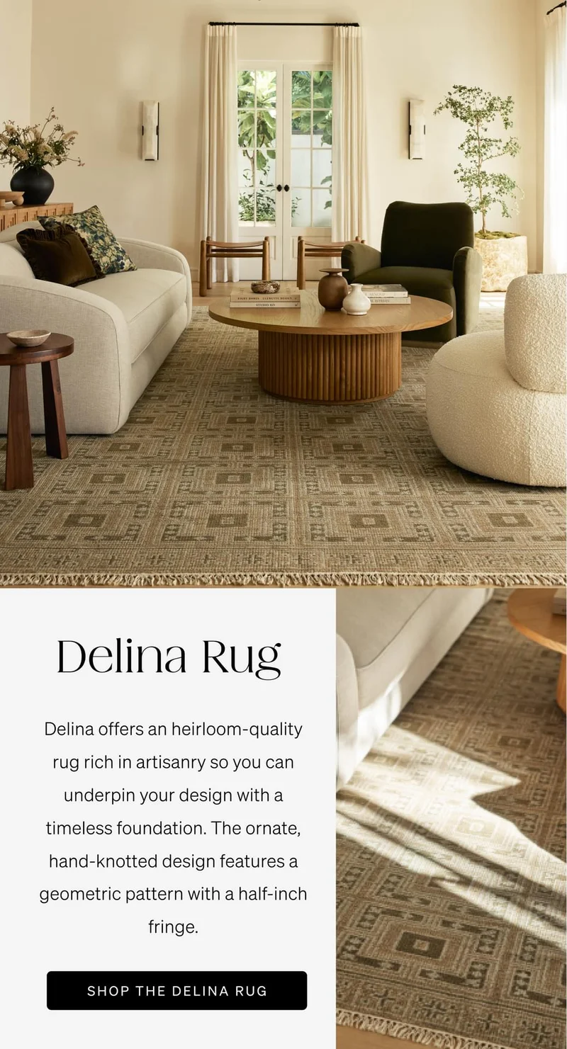 Shop Delina Rug