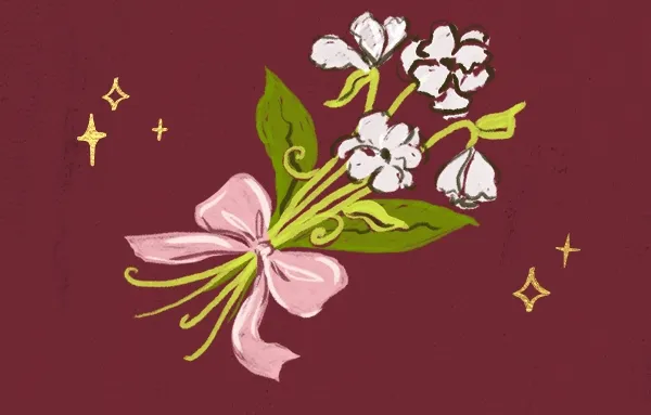 Cat illustration