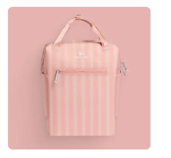 The All Day Madeleine Mini Cooler Backpack | Peach Rose Picnic Stripe