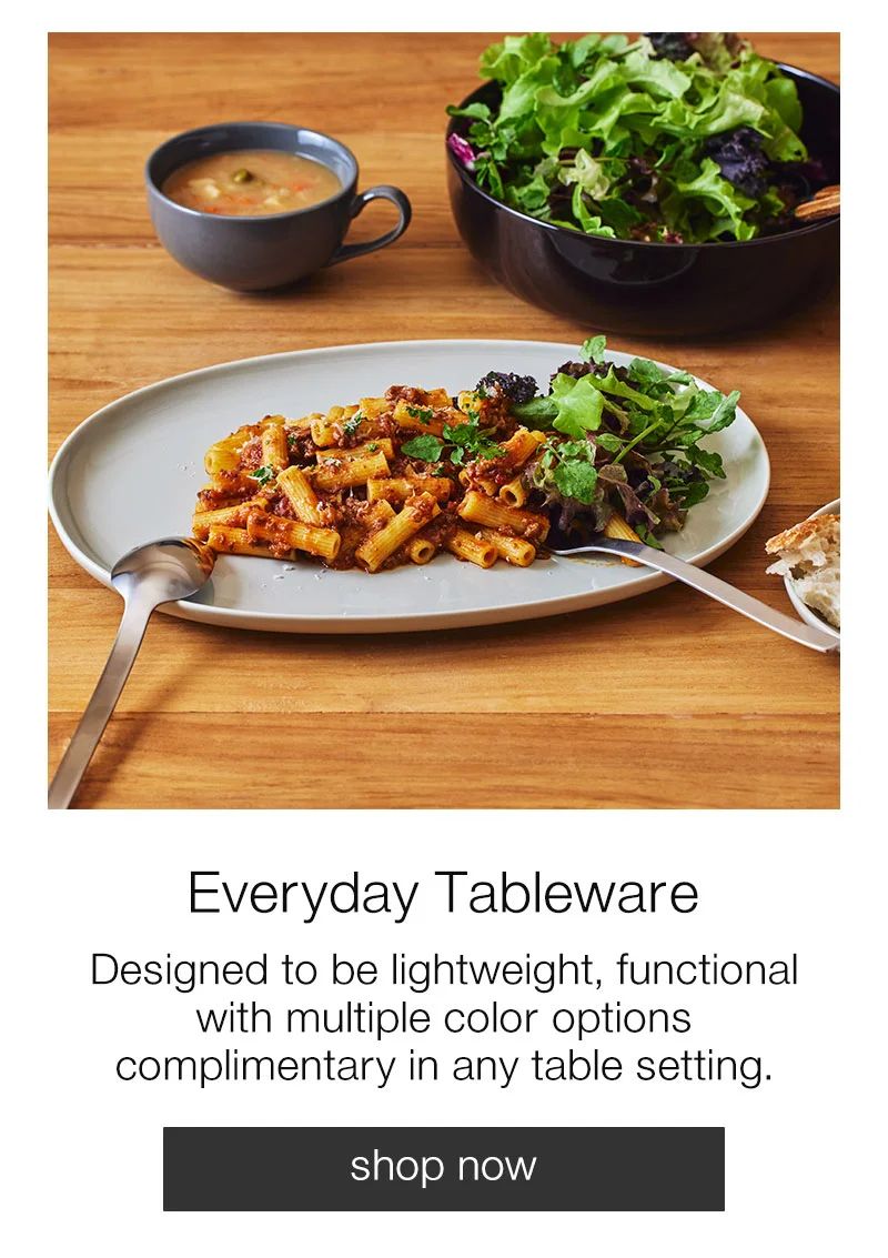 Shop Everyday Tableware