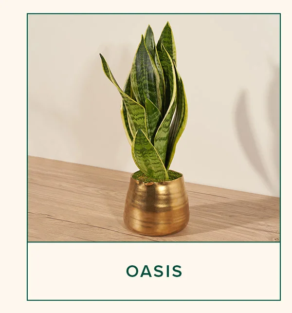 OASIS
