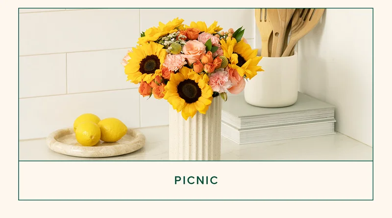 PICNIC