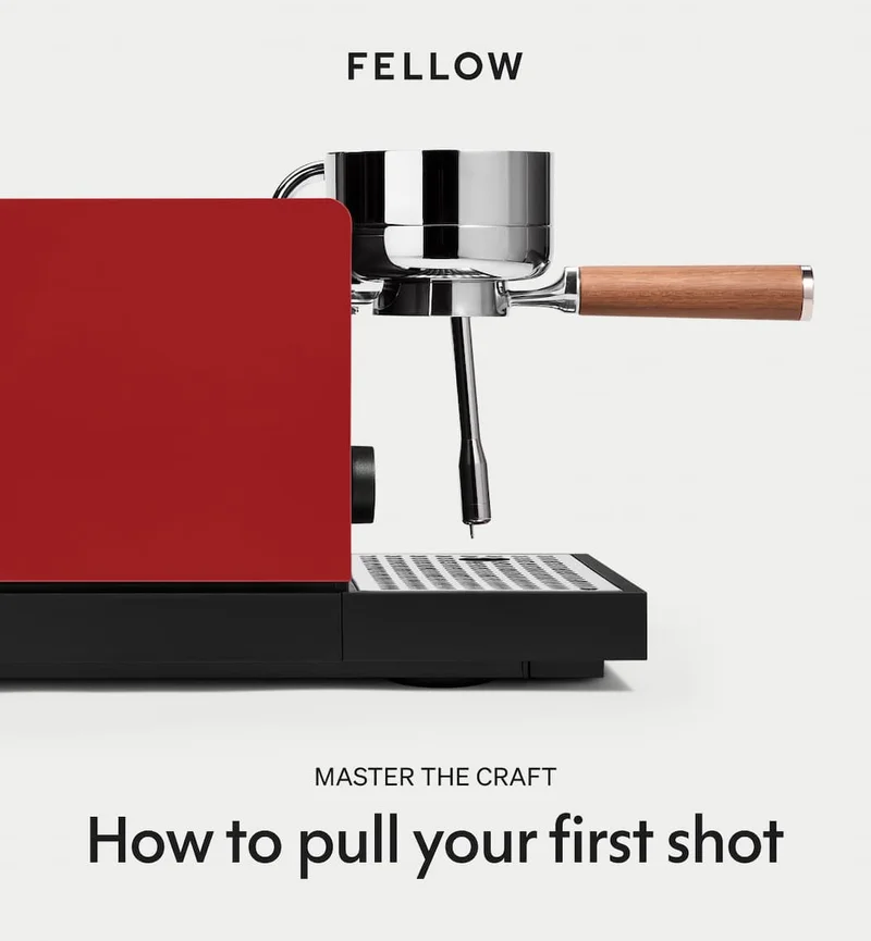 Master the Craft: How to pull our first shot