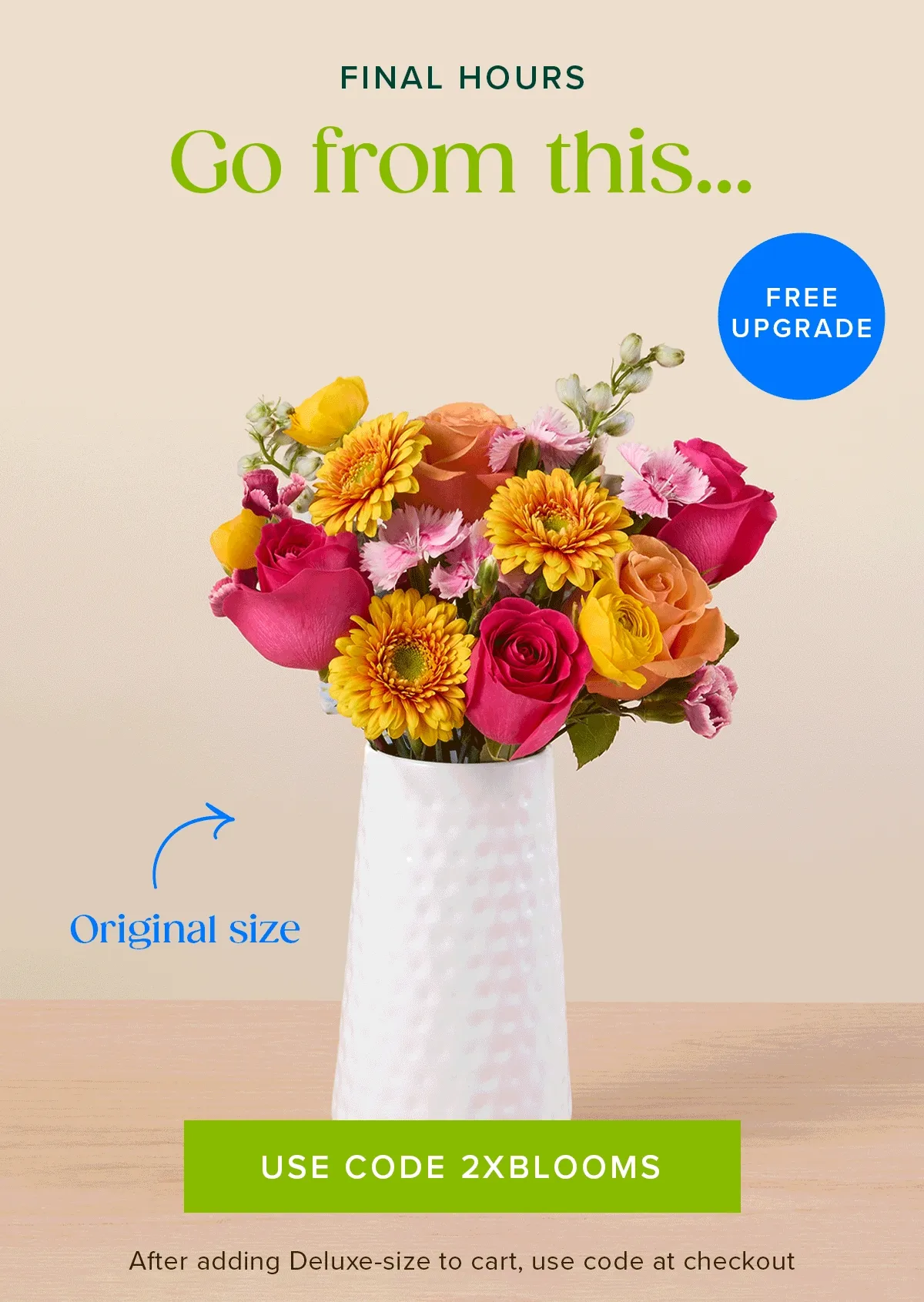 Final Hours for a Free Upgrade! Go from an original size...to a deluxe size for FREE! Must add a Deluxe-size to cart and use code 2XBLOOMS at checkout