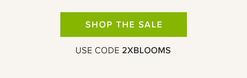 SHOP THE SALE USE CODE 2XBLOOMS