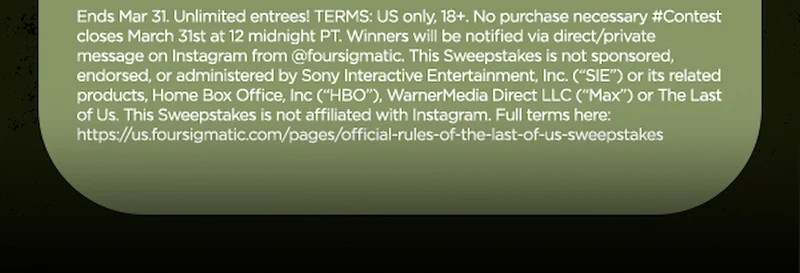 Terms And Conditions
