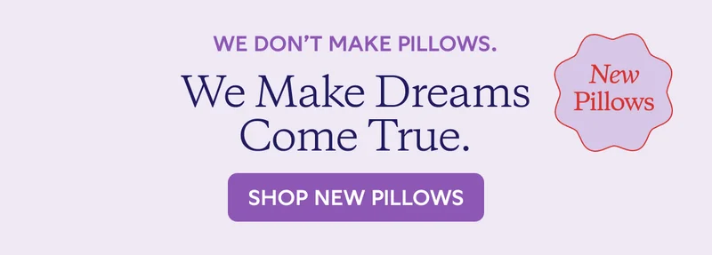 WE DON'T MAKE PILLOWS. We Make Dreams Come True.Shop New Pillows