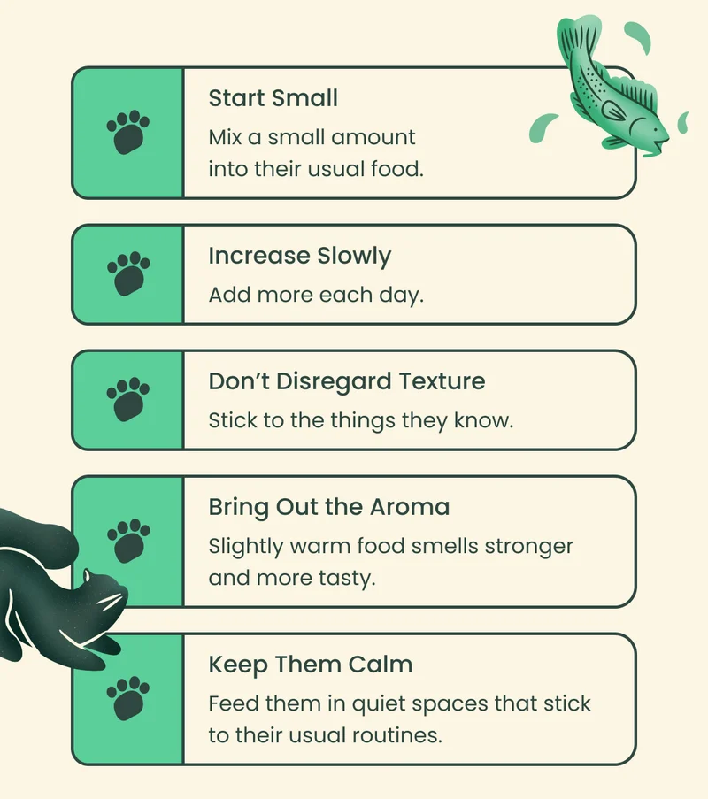 Start Small Mix a small amount into their usual food. Increase Slowly Add more each day. Don’t Disregard Texture Stick to the things they know. Bring Out the Aroma Slightly warm food smells stronger and more tasty. Keep Them Calm Feed them quiet spaces that stick to their usual routines.