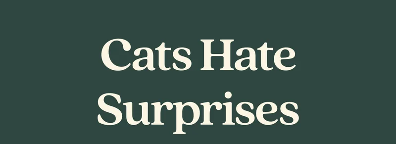 Cats Hate Surprises