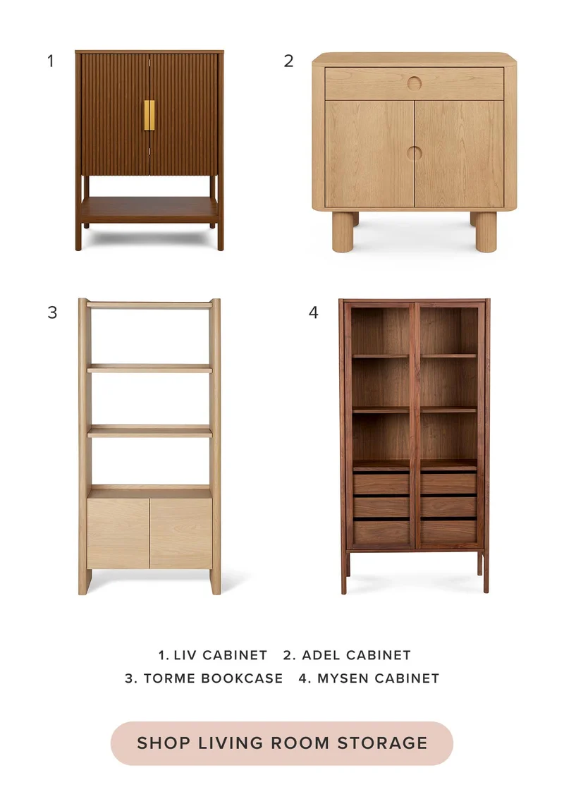 Shop Living Room Storage.