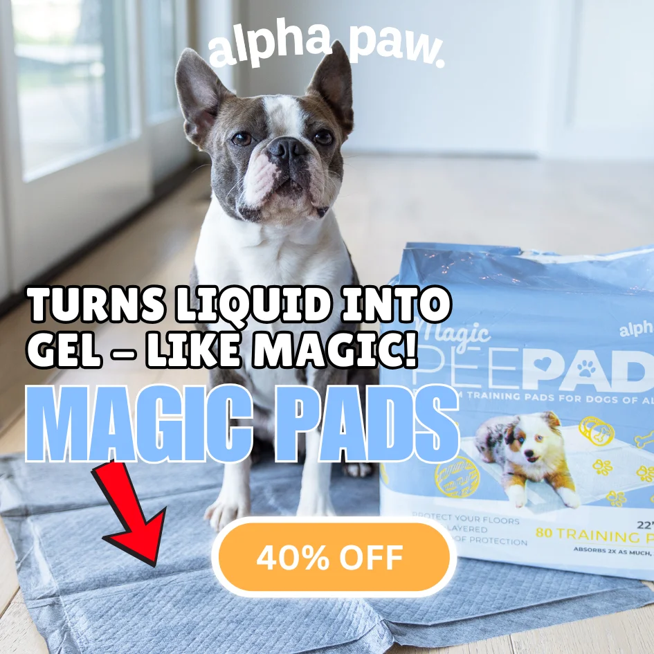 Magic Pads Magic Pads