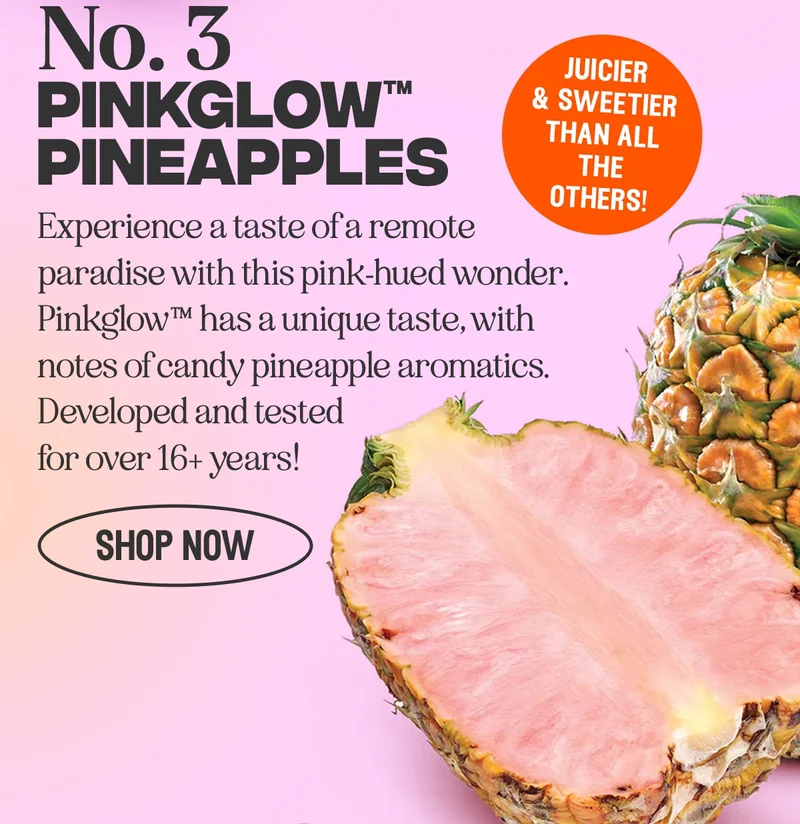 Pingglow pineapples