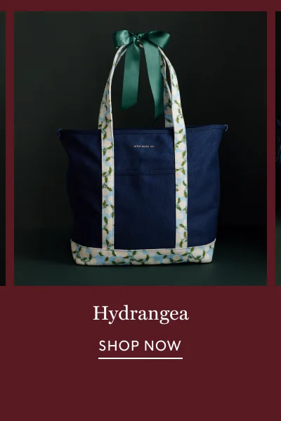 Shop Hydrangea Favorites