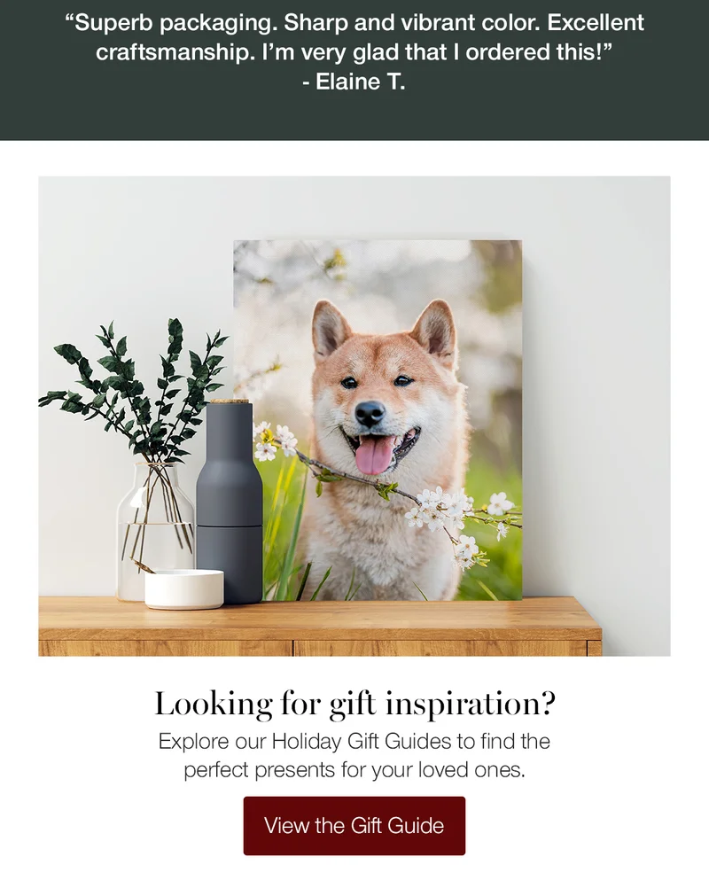 Looking for gift inspiration?