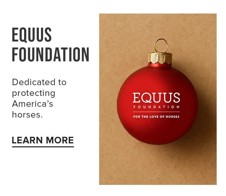 EQUUS FOUNDATION | LEARN MORE