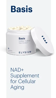Basis