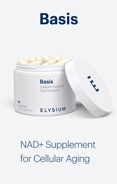 Basis