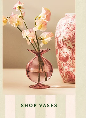 Shop vases