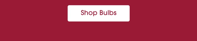 Shop Bulbs