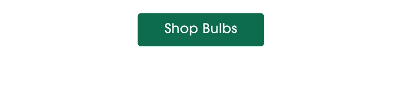 Shop Bulbs