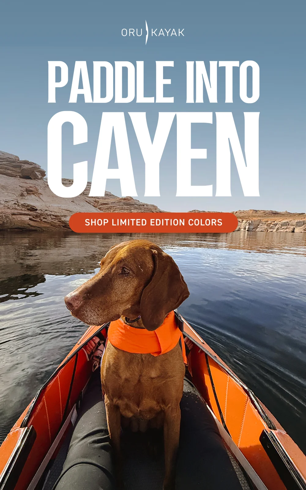 Paddle into Cayen. Shop Limited Edition Colors Paddle into Cayen. Shop Limited Edition Colors