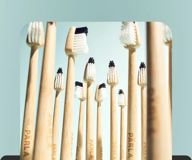 bamboo toothbrush