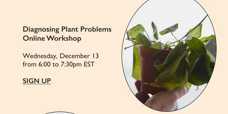 Free Online Workshop: Diagnosing Plant Problems