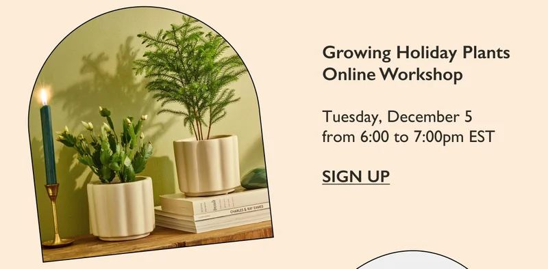 Free Online Workshop: Growing Holiday Plants