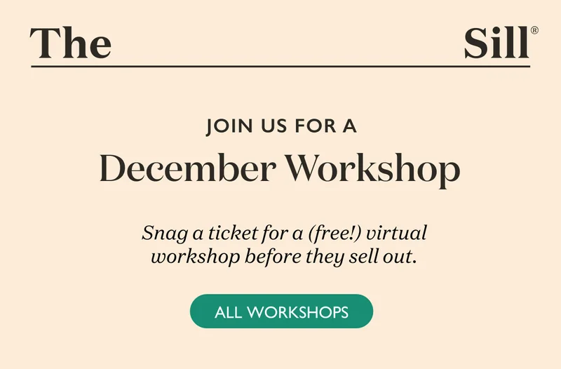 Join us for a December Workshop! Snag a ticket for a free virtual workshop before they sell out.