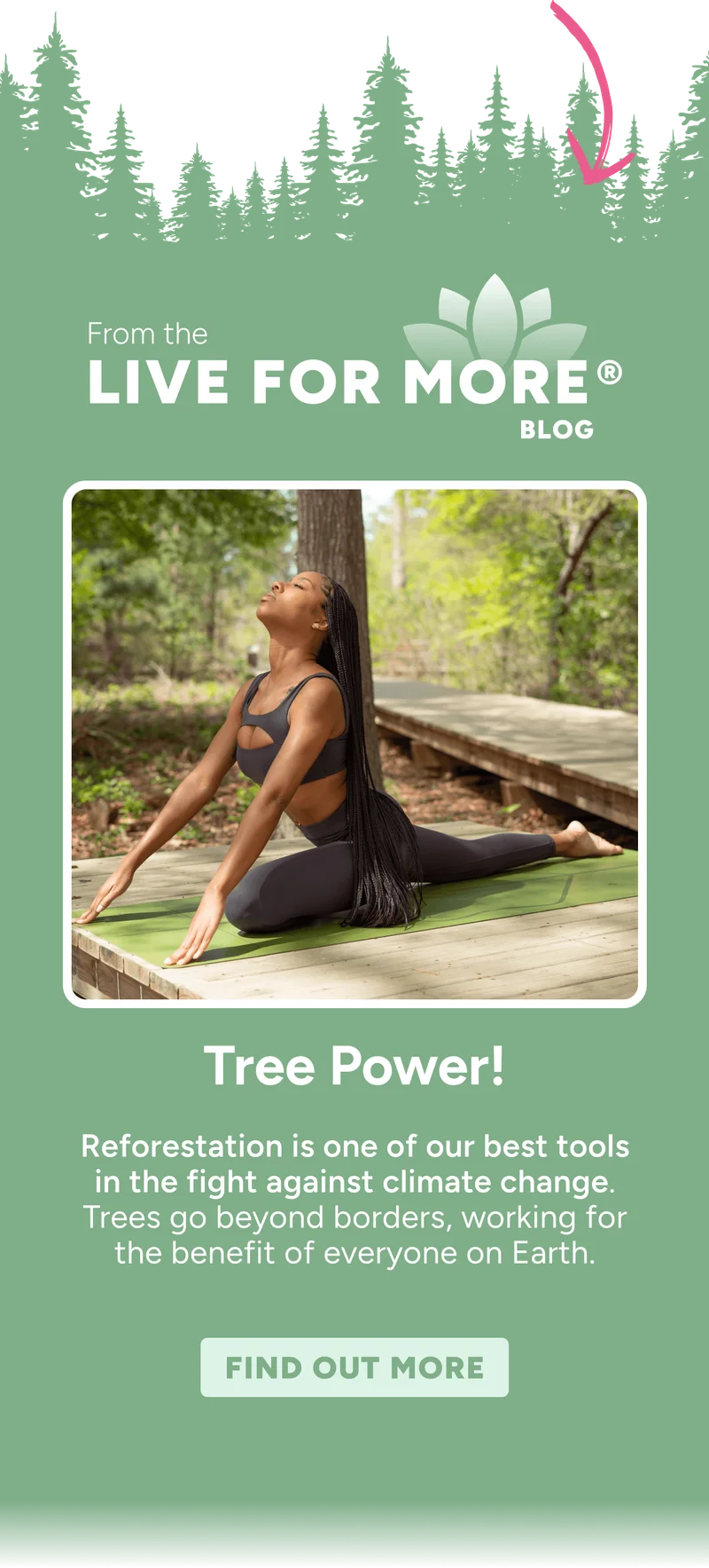 Th Power of Trees