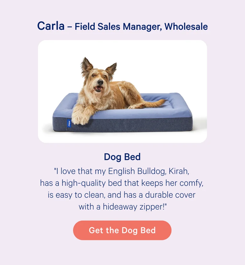 Carla - Field Sales Manager, Wholesale; Dog Bed