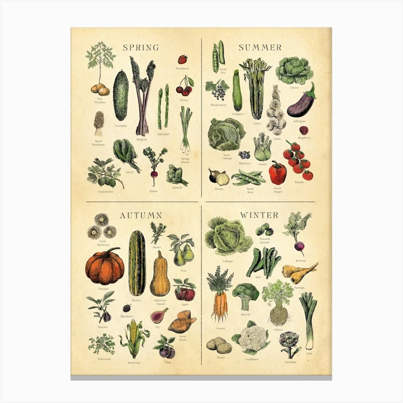Image of Uk Seasonal Fruit And Veg Chart Canvas Print