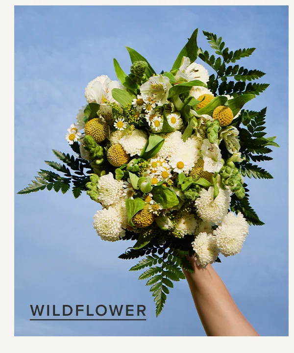 Wildflower