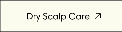 Dry Scalp Care