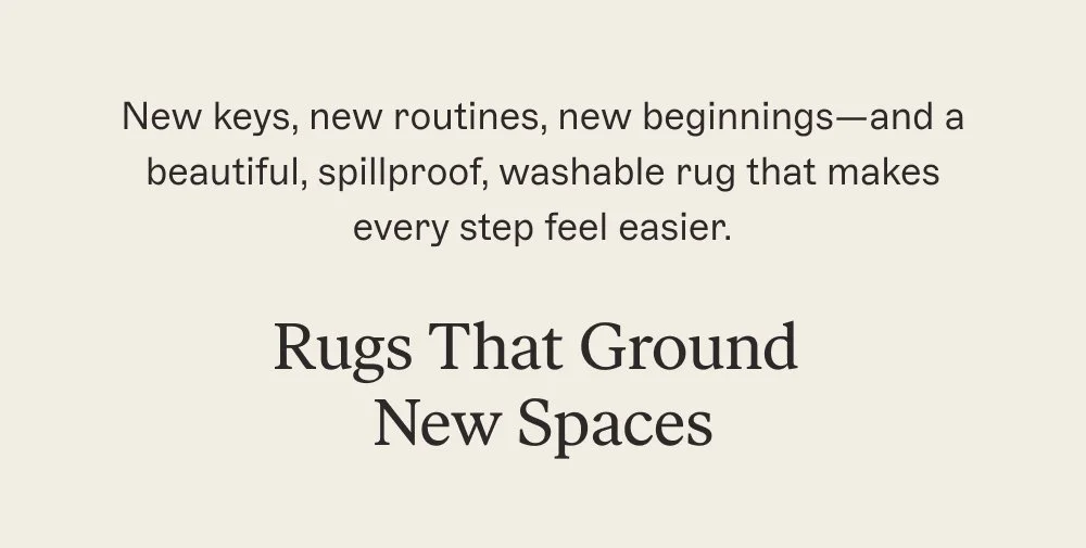 Rugs That Ground  New Spaces