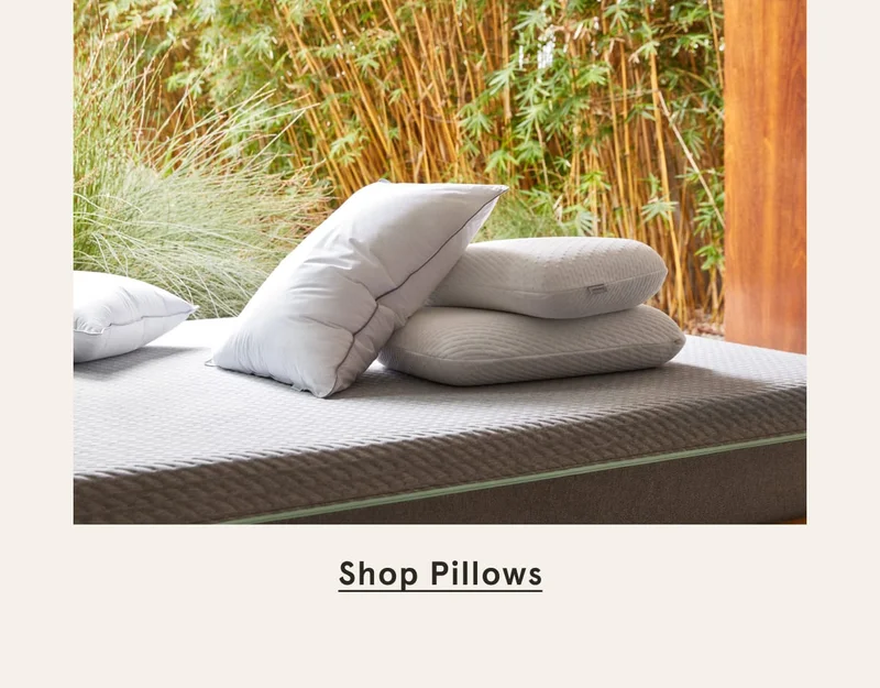 Shop Pillows