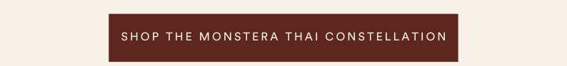 shop the monstera thai constellation