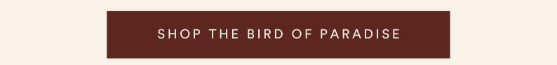 shop the bird of paradise