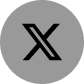 Twitter Icon