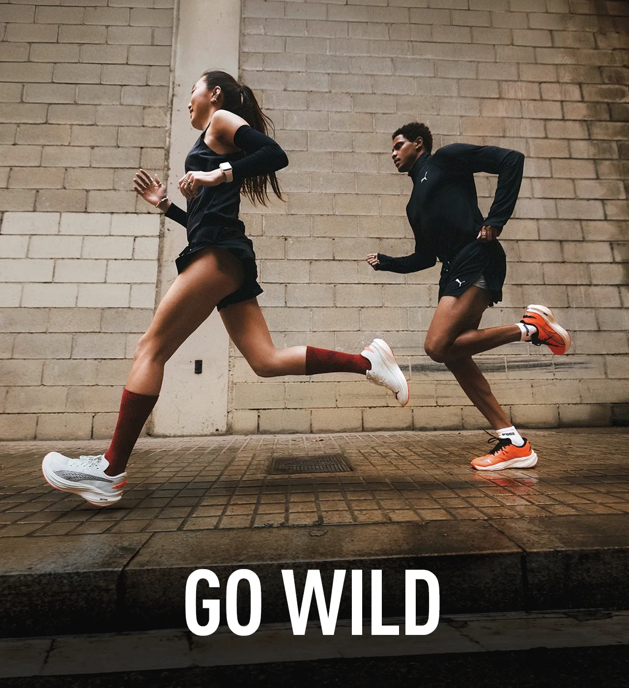 GO WILD