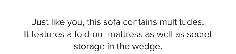 Just like you, this sofa contains multitudes. It features a fold-out mattress as well as secret storage in the wedge.