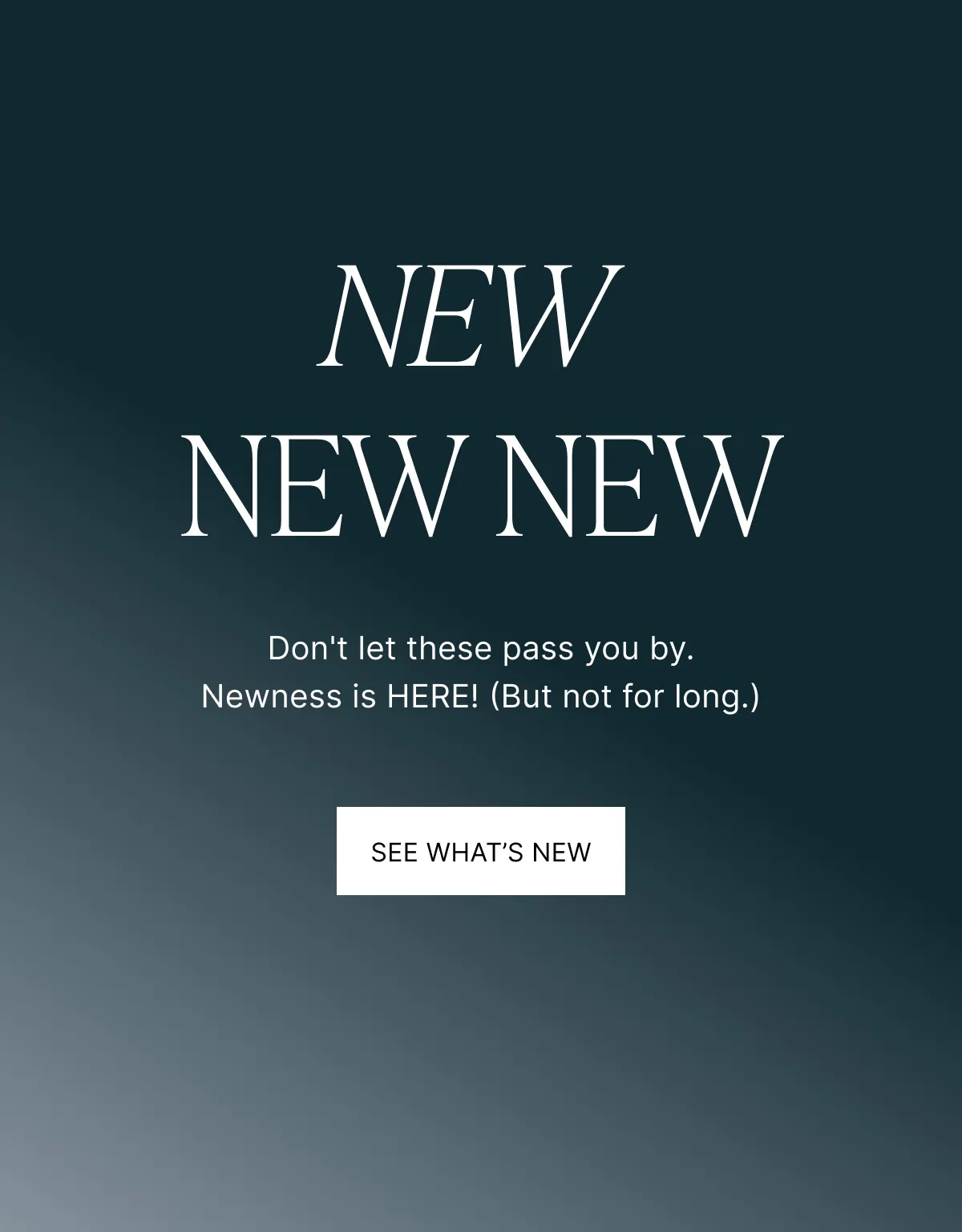 NEW NEW NEW