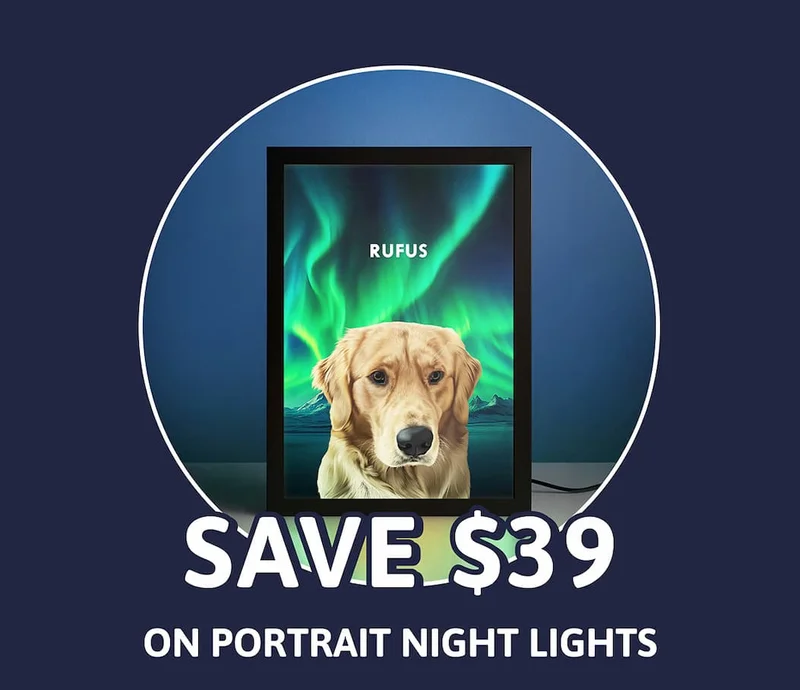 SAVE $39 on Portrait Night Lights