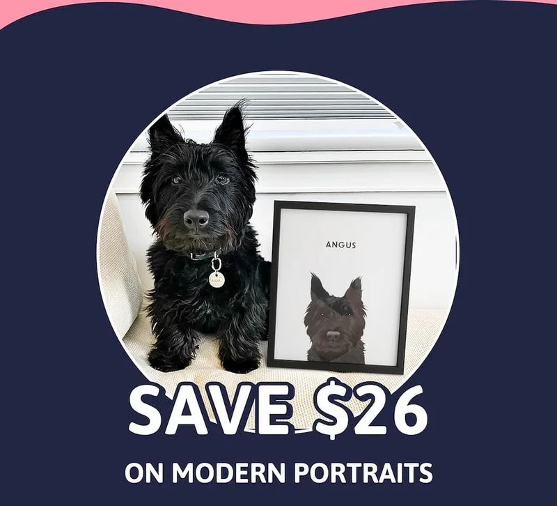 SAVE $26 on Modern Portraits
