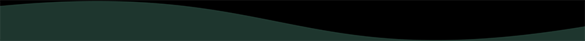 Section Divider