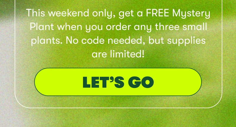 This weekend only, get a FREE Mystery Plant when you order any three small plants! No code needed, but supplies are limited!